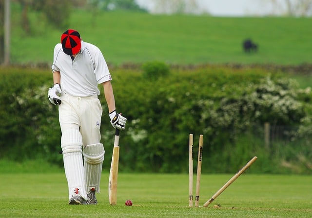 Cricket – eine kaum bekannte Titanen Sportart